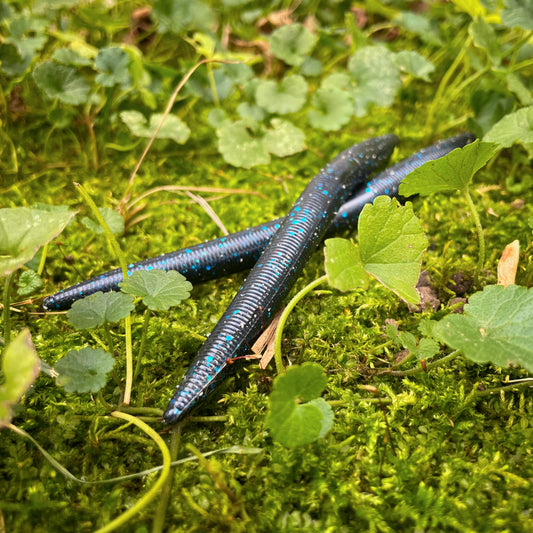 5.25” Recycled Stickbait / 6 pack